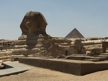 Der Sphinx auf dem Plateau von Gizeh
